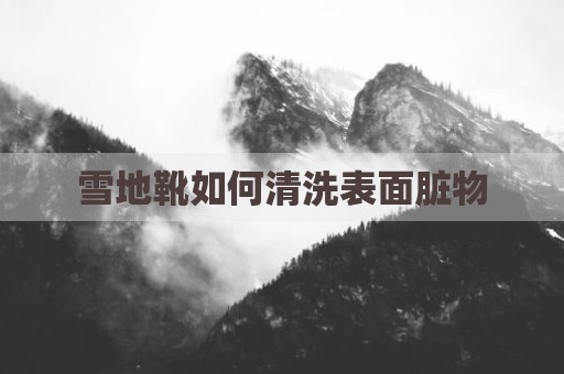 雪地靴如何清洗表面脏物