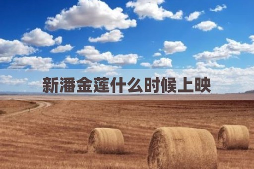 新潘金莲什么时候上映
