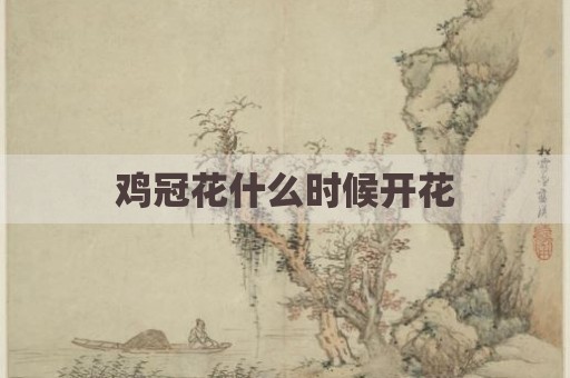 鸡冠花什么时候开花