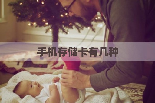 手机存储卡有几种