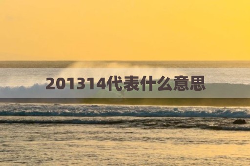 201314代表什么意思