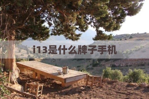 i13是什么牌子手机