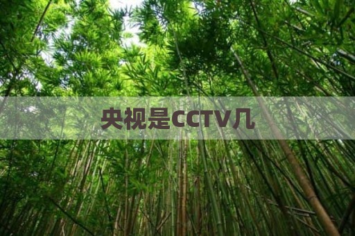 央视是CCTV几