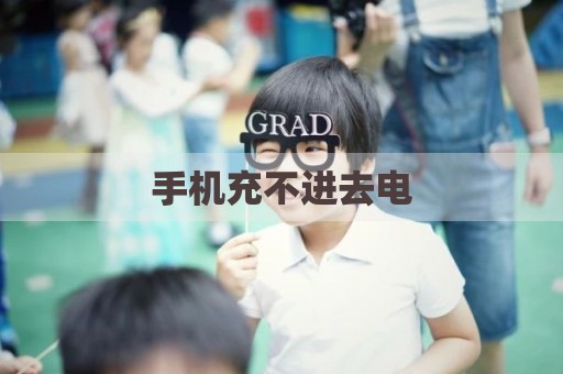 手机充不进去电
