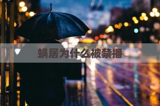 蜗居为什么被禁播