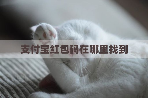 支付宝红包码在哪里找到