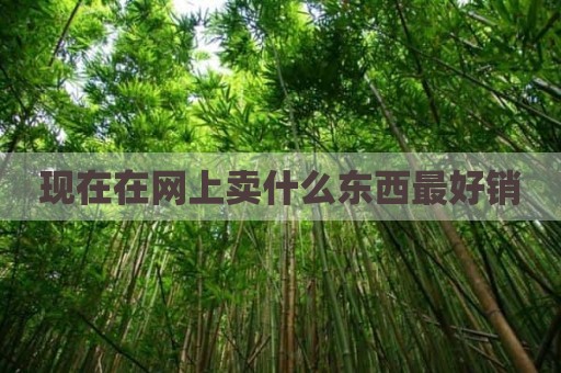 现在在网上卖什么东西最好销