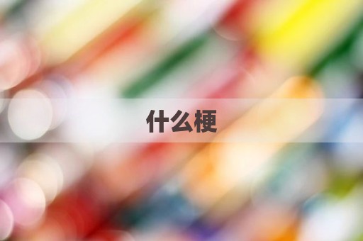 什么梗