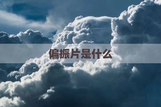 偏振片是什么