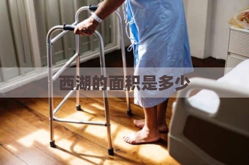 西湖的面积是多少