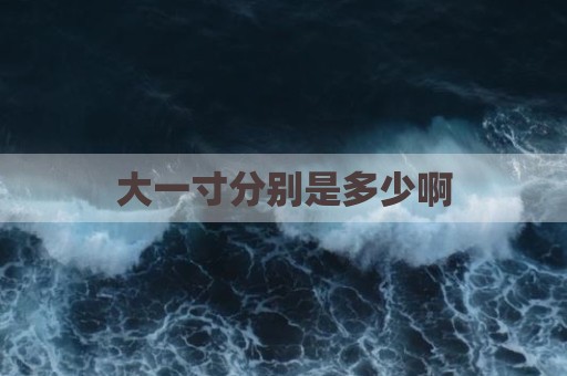 大一寸分别是多少啊
