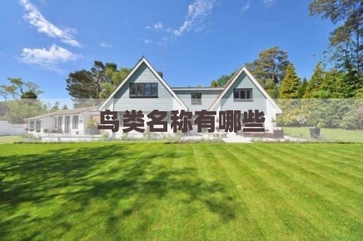 鸟类名称有哪些