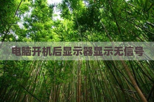 电脑开机后显示器显示无信号