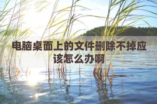 电脑桌面上的文件删除不掉应该怎么办啊