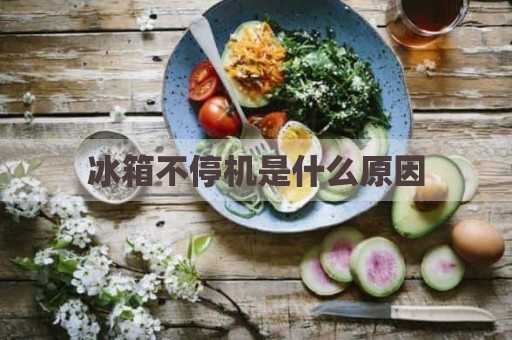 冰箱不停机是什么原因