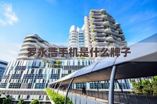 罗永浩手机是什么牌子