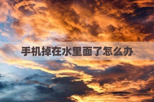 手机掉在水里面了怎么办