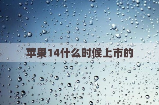 苹果14什么时候上市的