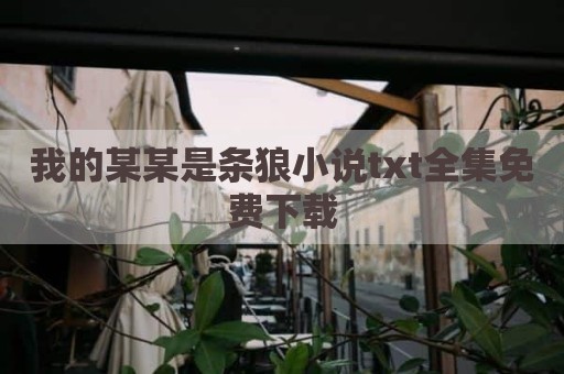我的某某是条狼小说txt全集免费下载