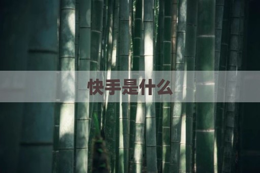 快手是什么