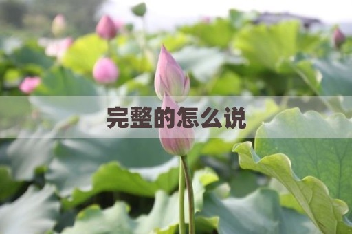 完整的怎么说