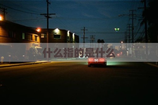 什么指的是什么