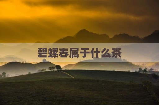 碧螺春属于什么茶