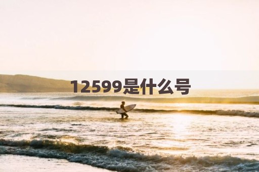 12599是什么号