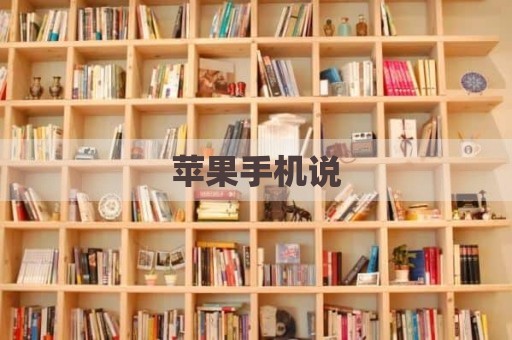 苹果手机说
