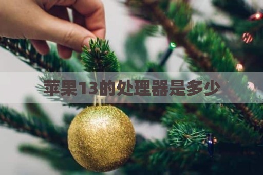 苹果13的处理器是多少
