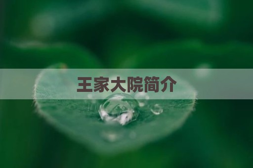 王家大院简介