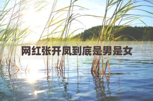 网红张开凤到底是男是女