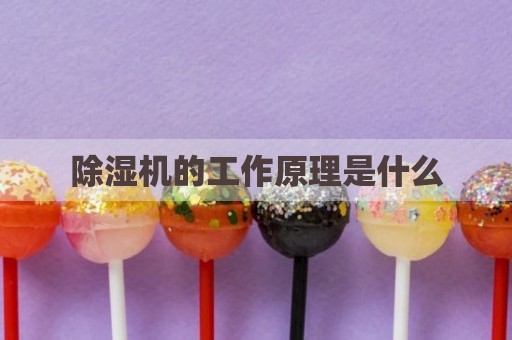 除湿机的工作原理是什么