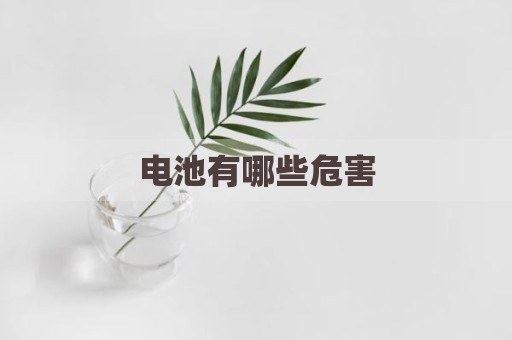 电池有哪些危害