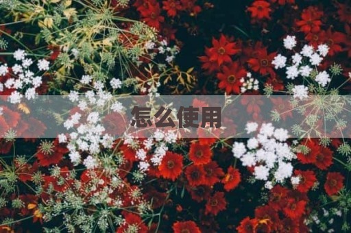 怎么使用