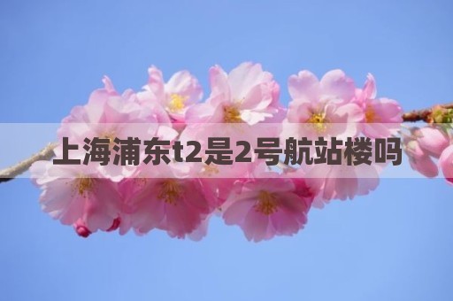 上海浦东t2是2号航站楼吗
