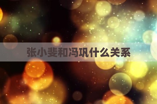 张小斐和冯巩什么关系