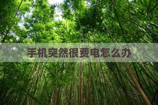 手机突然很费电怎么办
