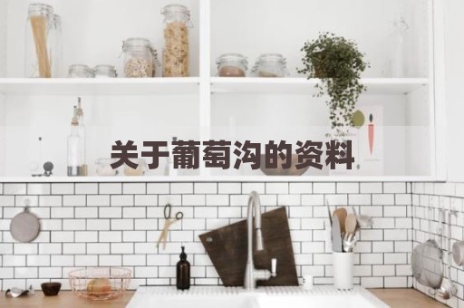 关于葡萄沟的资料