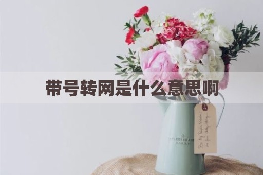 带号转网是什么意思啊