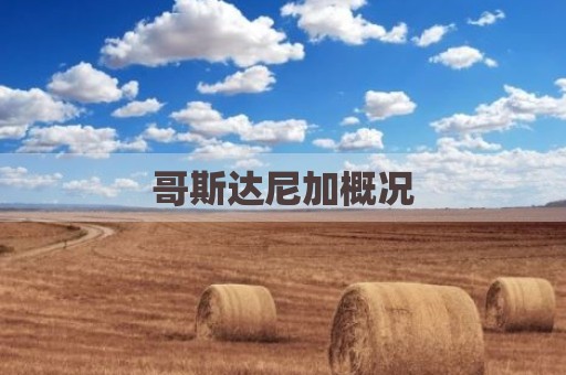 哥斯达尼加概况