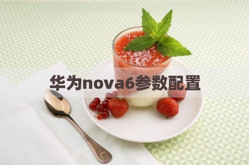 华为nova6参数配置