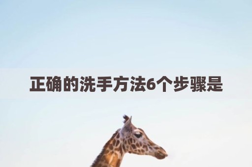 正确的洗手方法6个步骤是