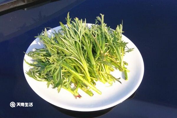 柳蒿芽的功效与作用 第1张