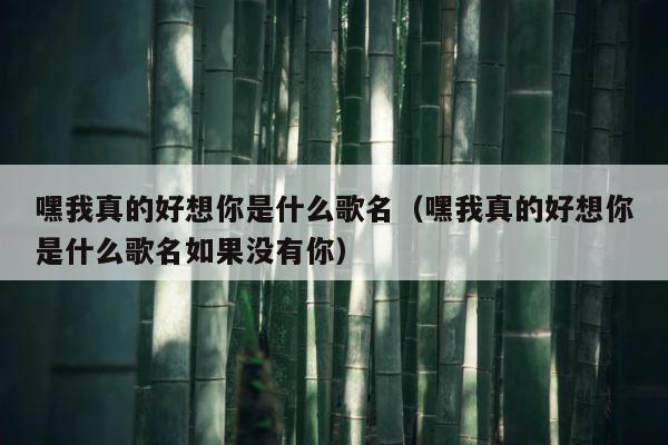 嘿我真的好想你是什么歌名（嘿我真的好想你是什么歌名如果没有你） 第1张