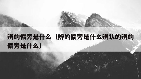 辨的偏旁是什么（辨的偏旁是什么辨认的辨的偏旁是什么） 第1张