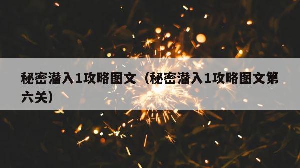 秘密潜入1攻略图文（秘密潜入1攻略图文第六关） 第1张