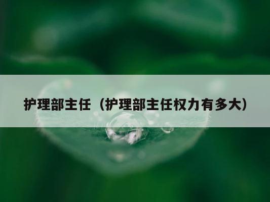 护理部主任（护理部主任权力有多大） 第1张