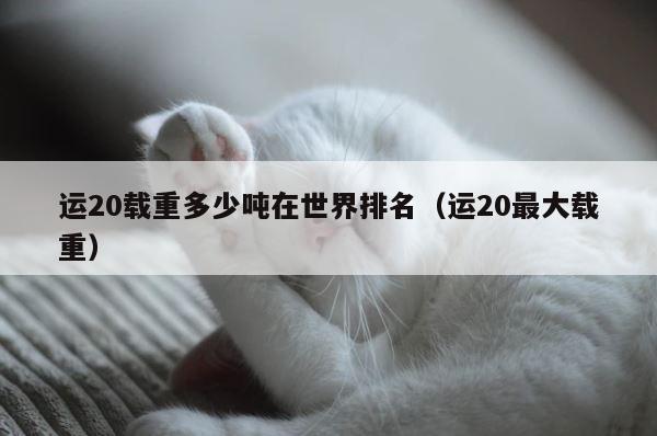 运20载重多少吨在世界排名（运20最大载重） 第1张