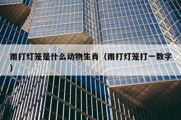 雨打灯笼是什么动物生肖（雨打灯笼打一数字） 第1张
